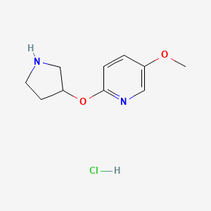 molecular formula C10H15ClN2O2 B2564372 5-甲氧基-2-(吡咯烷-3-氧基)吡啶盐酸盐 CAS No. 1707365-92-1