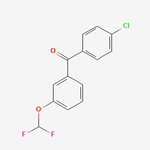 molecular formula C14H9ClF2O2 B2564383 (4-氯苯基)[3-(二氟甲氧基)苯基]甲酮 CAS No. 1097076-61-3
