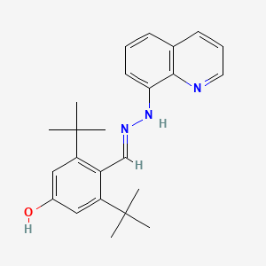 molecular formula C24H29N3O B2564404 3,5-di-tert-butyl-4-[(1E)-[2-(quinolin-8-yl)hydrazin-1-ylidene]methyl]phenol CAS No. 478258-11-6
