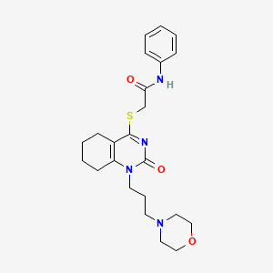 molecular formula C23H30N4O3S B2565137 2-((1-(3-吗啉丙基)-2-氧代-1,2,5,6,7,8-六氢喹唑啉-4-基)硫代)-N-苯基乙酰胺 CAS No. 899749-37-2