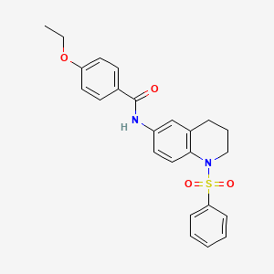 molecular formula C24H24N2O4S B2565465 4-ethoxy-N-(1-(phenylsulfonyl)-1,2,3,4-tetrahydroquinolin-6-yl)benzamide CAS No. 941961-15-5