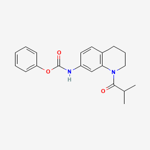 Phenyl (1-isobutyryl-1,2,3,4-tetrahydroquinolin-7-yl)carbamate