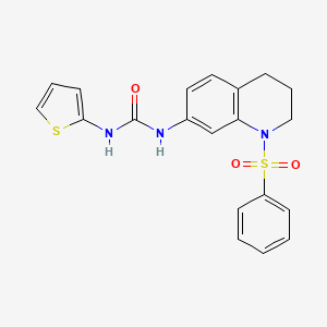 molecular formula C20H19N3O3S2 B2565868 1-(1-(苯磺酰基)-1,2,3,4-四氢喹啉-7-基)-3-(噻吩-2-基)脲 CAS No. 1203190-34-4