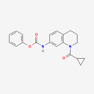 molecular formula C20H20N2O3 B2566099 苯基N-[1-(环丙烷羰基)-3,4-二氢-2H-喹啉-7-基]氨基甲酸酯 CAS No. 897611-99-3