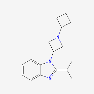 1-(1-Cyclobutylazetidin-3-yl)-2-propan-2-ylbenzimidazole