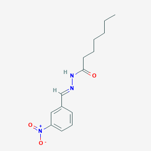 molecular formula C14H19N3O3 B256730 N'-[(E)-(3-nitrophenyl)methylidene]heptanehydrazide 