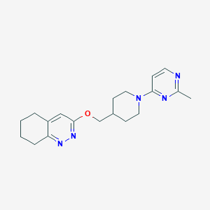 molecular formula C19H25N5O B2567363 3-((1-(2-甲基嘧啶-4-基)哌啶-4-基)甲氧基)-5,6,7,8-四氢苯并噁嗪 CAS No. 2320225-83-8