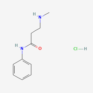 3-(methylamino)-N-phenylpropanamide hydrochloride