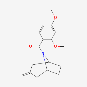 (2,4-dimethoxyphenyl)((1R,5S)-3-methylene-8-azabicyclo[3.2.1]octan-8-yl)methanone