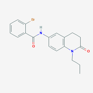 2-bromo-N-(2-oxo-1-propyl-1,2,3,4-tetrahydroquinolin-6-yl)benzamide