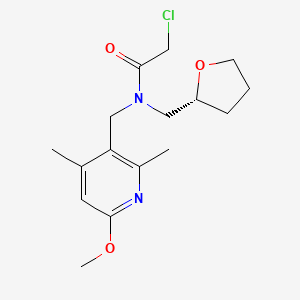 2-Chloro-N-[(6-methoxy-2,4-dimethylpyridin-3-yl)methyl]-N-[[(2R)-oxolan-2-yl]methyl]acetamide