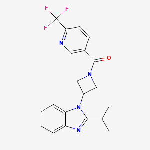 molecular formula C20H19F3N4O B2571161 [3-(2-Propan-2-ylbenzimidazol-1-yl)azetidin-1-yl]-[6-(trifluoromethyl)pyridin-3-yl]methanone CAS No. 2415490-97-8