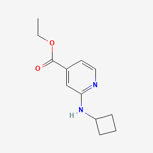 molecular formula C12H16N2O2 B2571226 Ethyl 2-(cyclobutylamino)pyridine-4-carboxylate CAS No. 2248330-45-0