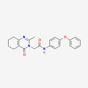 molecular formula C23H23N3O3 B2571631 2-(2-methyl-4-oxo-3,4,5,6,7,8-hexahydroquinazolin-3-yl)-N-(4-phenoxyphenyl)acetamide CAS No. 1251546-52-7