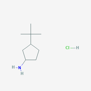 molecular formula C9H20ClN B2572192 3-Tert-butylcyclopentan-1-amine;hydrochloride CAS No. 2361634-13-9
