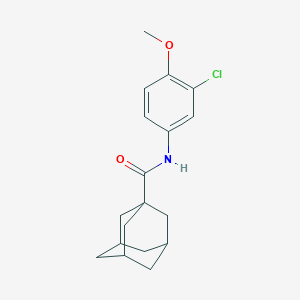 molecular formula C18H22ClNO2 B257263 N-(3-chloro-4-methoxyphenyl)-1-adamantanecarboxamide 