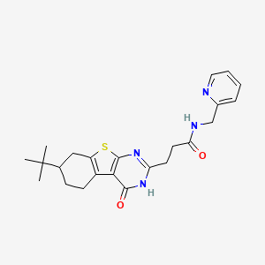 molecular formula C23H28N4O2S B2572736 3-(7-叔丁基-4-氧代-3,4,5,6,7,8-六氢[1]苯并噻吩并[2,3-d]嘧啶-2-基)-N-(吡啶-2-基甲基)丙酰胺 CAS No. 950314-44-0