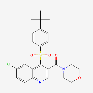 molecular formula C24H25ClN2O4S B2572773 （4-((4-(叔丁基)苯基)磺酰基)-6-氯喹啉-3-基)(吗啉代)甲酮 CAS No. 1111015-33-8