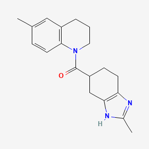 molecular formula C19H23N3O B2572953 (6-methyl-3,4-dihydroquinolin-1(2H)-yl)(2-methyl-4,5,6,7-tetrahydro-1H-benzo[d]imidazol-5-yl)methanone CAS No. 2034253-83-1