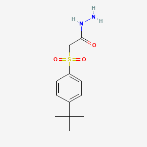 molecular formula C12H18N2O3S B2573039 N-氨基-2-((4-(叔丁基)苯基)磺酰基)乙酰胺 CAS No. 1024081-75-1