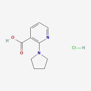 molecular formula C10H13ClN2O2 B2573062 2-Pyrrolidin-1-ylnicotinic acid hydrochloride CAS No. 1052549-87-7