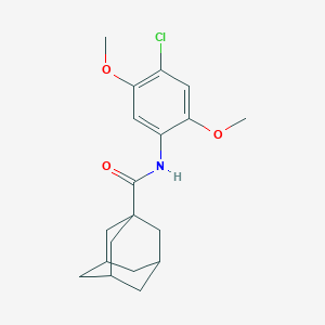 molecular formula C19H24ClNO3 B257317 N-(4-chloro-2,5-dimethoxyphenyl)-1-adamantanecarboxamide 