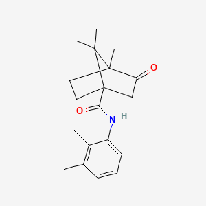 molecular formula C19H25NO2 B2574552 N-(2,3-dimethylphenyl)-4,7,7-trimethyl-3-oxobicyclo[2.2.1]heptane-1-carboxamide CAS No. 832683-40-6
