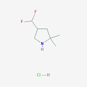 4-(Difluoromethyl)-2,2-dimethylpyrrolidine;hydrochloride