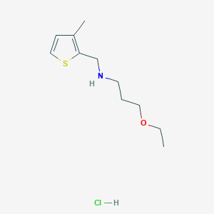 (3-Ethoxy-propyl)-(3-methyl-thiophen-2-ylmethyl)-amine hydrochloride