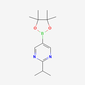 molecular formula C13H21BN2O2 B2576180 2-Isopropyl-5-(4,4,5,5-tetramethyl-1,3,2-dioxaborolan-2-yl)pyrimidine CAS No. 1820679-54-6