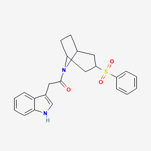 molecular formula C23H24N2O3S B2576206 2-(1H-indol-3-yl)-1-((1R,5S)-3-(phenylsulfonyl)-8-azabicyclo[3.2.1]octan-8-yl)ethanone CAS No. 1448068-77-6