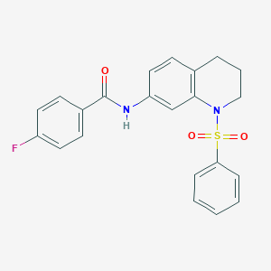 N-[1-(benzenesulfonyl)-3,4-dihydro-2H-quinolin-7-yl]-4-fluorobenzamide