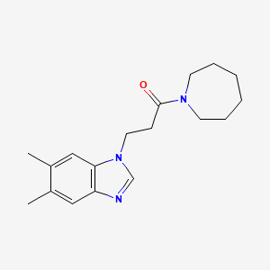 molecular formula C18H25N3O B2576508 1-(azepan-1-yl)-3-(5,6-dimethyl-1H-benzo[d]imidazol-1-yl)propan-1-one CAS No. 912902-10-4