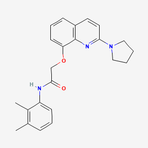 N-(2,3-dimethylphenyl)-2-((2-(pyrrolidin-1-yl)quinolin-8-yl)oxy)acetamide