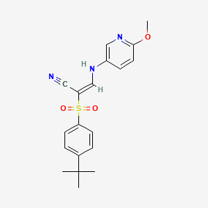 molecular formula C19H21N3O3S B2577452 (E)-2-(4-叔丁基苯基)磺酰基-3-[(6-甲氧基吡啶-3-基)氨基]丙-2-烯腈 CAS No. 1024729-09-6
