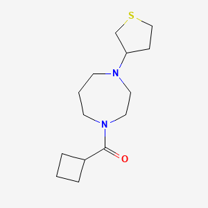molecular formula C14H24N2OS B2578015 Cyclobutyl(4-(tetrahydrothiophen-3-yl)-1,4-diazepan-1-yl)methanone CAS No. 2190136-32-2
