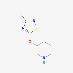 molecular formula C8H13N3OS B2579057 3-[(3-Methyl-1,2,4-thiadiazol-5-yl)oxy]piperidine CAS No. 1481418-42-1