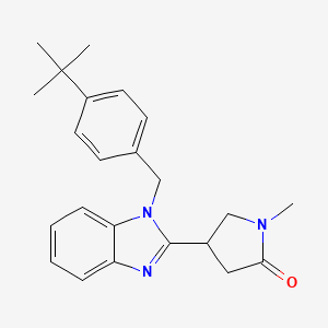 molecular formula C23H27N3O B2579878 4-{1-[(4-叔丁基苯基)甲基]-1H-1,3-苯并二唑-2-基}-1-甲基吡咯烷-2-酮 CAS No. 915189-50-3