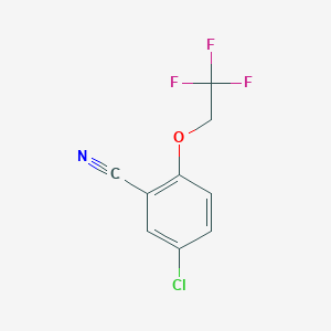 molecular formula C9H5ClF3NO B2579897 5-氯-2-(2,2,2-三氟乙氧基)苯甲腈 CAS No. 147249-29-4