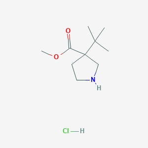 molecular formula C10H20ClNO2 B2580008 3-叔丁基吡咯烷-3-甲酸甲酯;盐酸盐 CAS No. 2375261-32-6