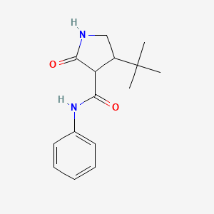 molecular formula C15H20N2O2 B2580312 4-叔丁基-2-氧代-N-苯基吡咯烷-3-甲酰胺 CAS No. 2097916-45-3