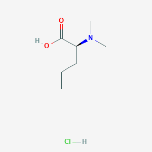 molecular formula C7H16ClNO2 B2582006 (2S)-2-(Dimethylamino)pentanoic acid;hydrochloride CAS No. 1448178-88-8