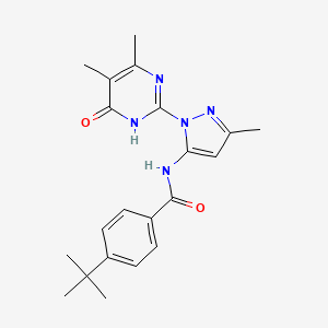 molecular formula C21H25N5O2 B2582613 4-叔丁基-N-[1-(4,5-二甲基-6-氧代-1,6-二氢嘧啶-2-基)-3-甲基-1H-吡唑-5-基]苯甲酰胺 CAS No. 1004680-03-8