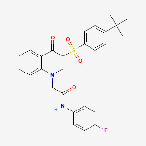 2-[3-(4-tert-butylphenyl)sulfonyl-4-oxoquinolin-1-yl]-N-(4-fluorophenyl)acetamide