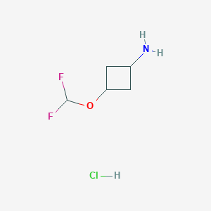 molecular formula C5H10ClF2NO B2582910 3-(Difluoromethoxy)cyclobutan-1-amine hcl CAS No. 2007916-28-9