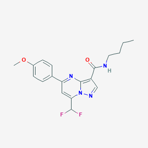 molecular formula C19H20F2N4O2 B258332 N-butyl-7-(difluoromethyl)-5-(4-methoxyphenyl)pyrazolo[1,5-a]pyrimidine-3-carboxamide 