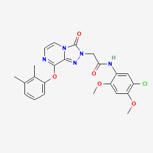 molecular formula C23H22ClN5O5 B2583505 N-甲基-1-{5-[(2-噻吩乙酰)氨基]吡啶-2-基}哌啶-4-甲酰胺 CAS No. 1116060-97-9