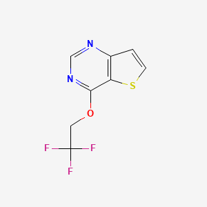 molecular formula C8H5F3N2OS B2584828 4-(2,2,2-Trifluoroethoxy)thieno[3,2-d]pyrimidine CAS No. 2201013-62-7