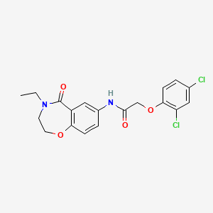 molecular formula C19H18Cl2N2O4 B2585111 2-(2,4-二氯苯氧基)-N-(4-乙基-5-氧代-2,3,4,5-四氢苯并[f][1,4]恶二杂环庚-7-基)乙酰胺 CAS No. 922001-71-6