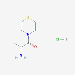molecular formula C7H15ClN2OS B2586040 2-Amino-1-(thiomorpholin-4-yl)propan-1-one hydrochloride CAS No. 1258639-30-3
